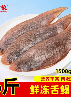 冷冻舌鳎鱼鳎目鱼龙利鱼舌头踏板