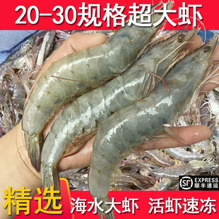 海虾2030超大虾鲜活速冻南美白对虾盐冻青虾白虾冷冻大基围虾海鲜