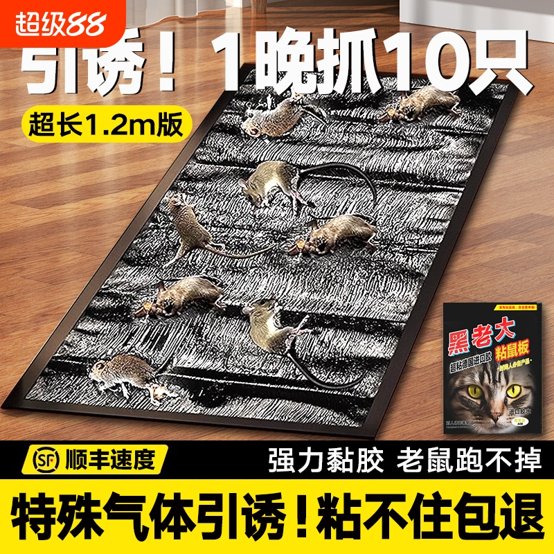 专抓狡猾老鼠【推荐】热销99万+