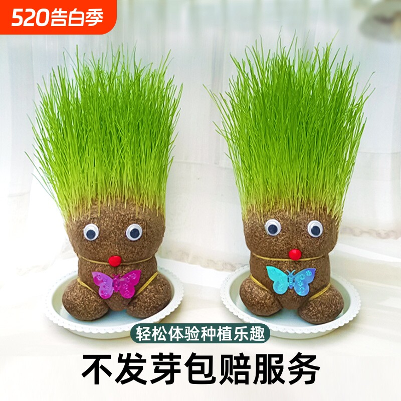 创意长草娃娃小盆栽草头娃娃好养桌面绿植礼物水培儿童种植小植物