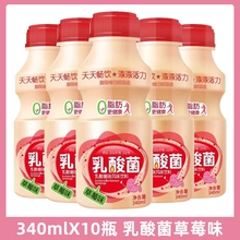 乳酸菌饮品340ml草莓味瓶装风味饮料夏季解渴早餐奶特价整箱批发