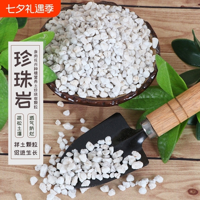 珍珠岩大颗粒多肉颗粒土蛭石营养土养兰花专用园艺土植料颗粒养花