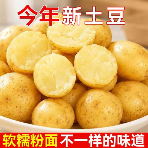 黄心小土豆新鲜恩施高山