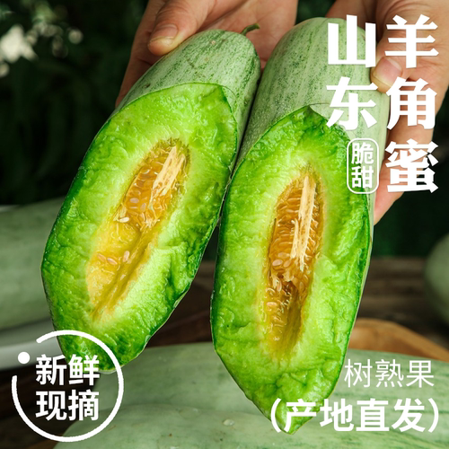 山东羊角蜜甜瓜新鲜水果当季脆甜蜜瓜香瓜时令羊角脆现摘精品好吃