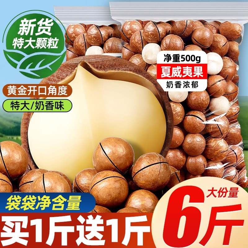 夏威夷果坚果原味无添加零食干果整箱500g散装果仁年货批发旗舰店