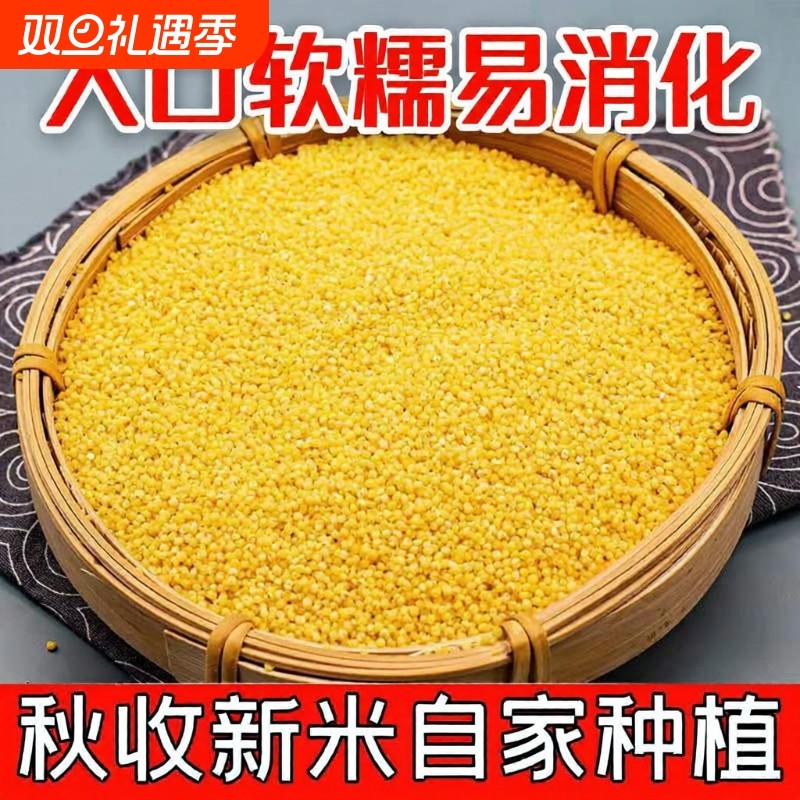 农家黄小米新鲜醇厚营养米粥谷物杂粮五谷杂粮谷子米油袋装