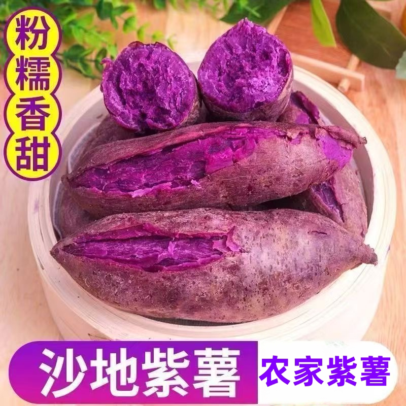 现挖新鲜紫薯农家自种紫心地瓜蜜薯番薯香薯烟薯山芋板栗红薯