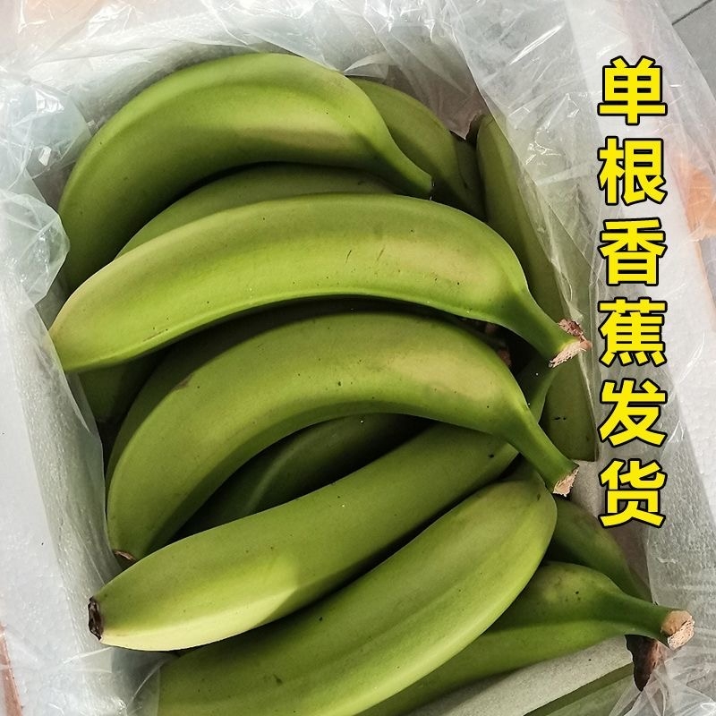 【爆甜】广西高山甜香蕉特级青皮绿大芭蕉新鲜孕妇水果9斤非云南