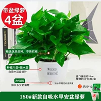 180#Фрукты Ранний провальная ручка [4] Поточка для доставки бассейна +10 жир 2