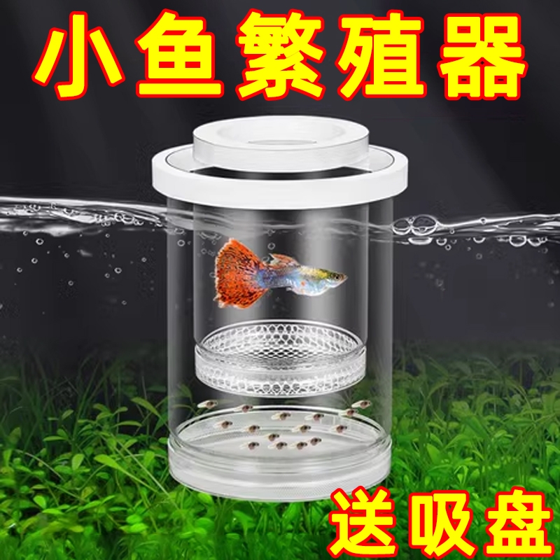 孔雀鱼鱼缸繁殖新款隔离悬浮幼鱼产房母鱼鱼苗悬浮式漂浮小鱼孵化