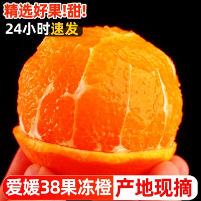 应季爱媛38号果冻橙5斤当季新鲜孕妇水果橙子甜薄皮柑橘子现摘