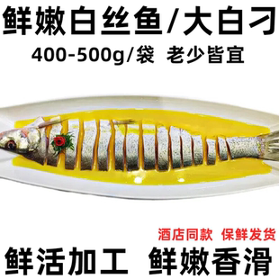 新鲜鲜冻白丝鱼半边大白刁鱼翘嘴鱼腌制冷冻酒店用半成品商用食材