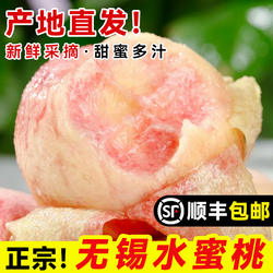 正宗无锡水蜜桃子应当季现摘新鲜水果阳湖景山白凤毛整箱顺丰包邮