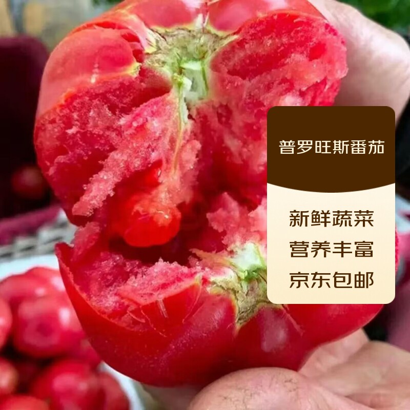 陕西泾阳普罗旺斯沙瓤西红柿新鲜自然熟当季孕妇水果生吃番茄蔬菜