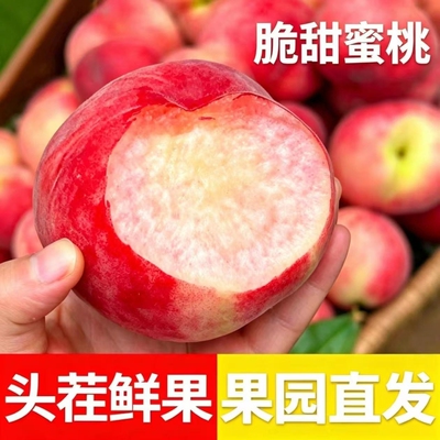 【红不软脆蜜桃】正宗脆蜜桃整箱包邮毛桃应季新鲜水果桃子脆甜