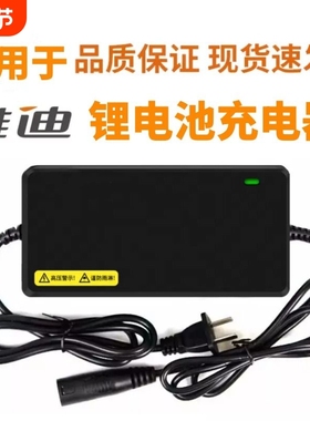 适用于雅迪电动车电瓶车锂电池充电器星恒48v54.623a12ah20卡侬头