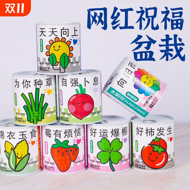 幼儿园小礼品学生diy种植儿童小盆栽地推礼物绿植罐头盲盒创意