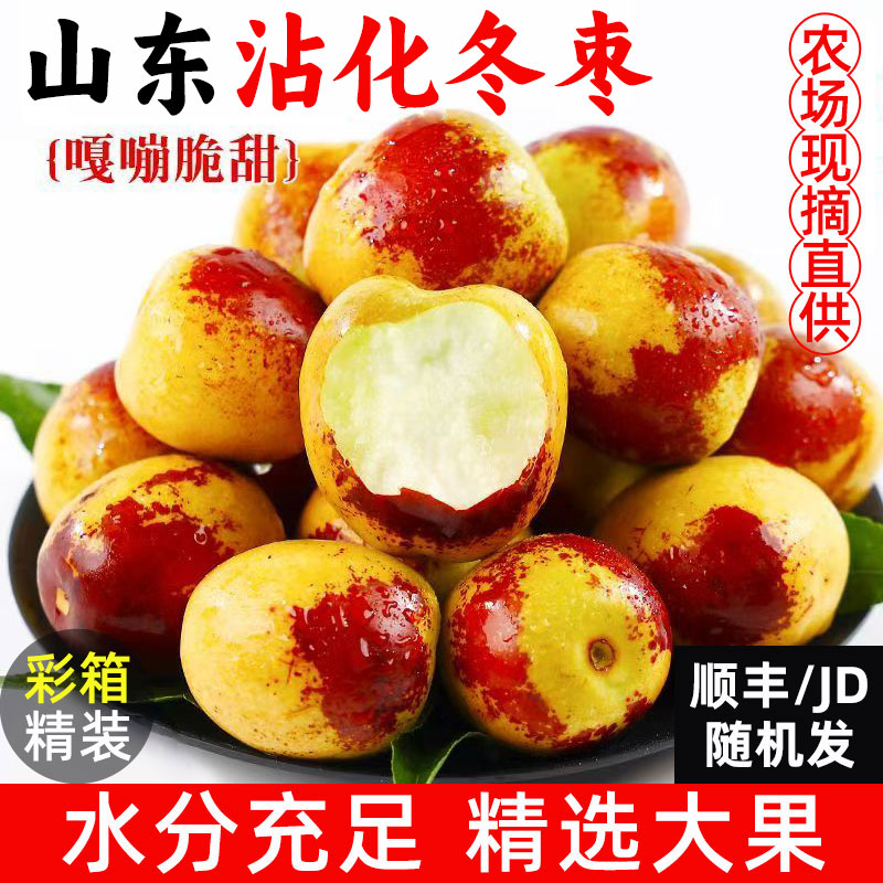 正宗山东沾化冬枣新鲜应当季水果礼盒脆甜枣子大整箱5斤产地直发