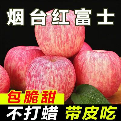 山东烟台红富士苹果产地直发薄皮苹果脆新鲜水果脆甜多汁整箱批发