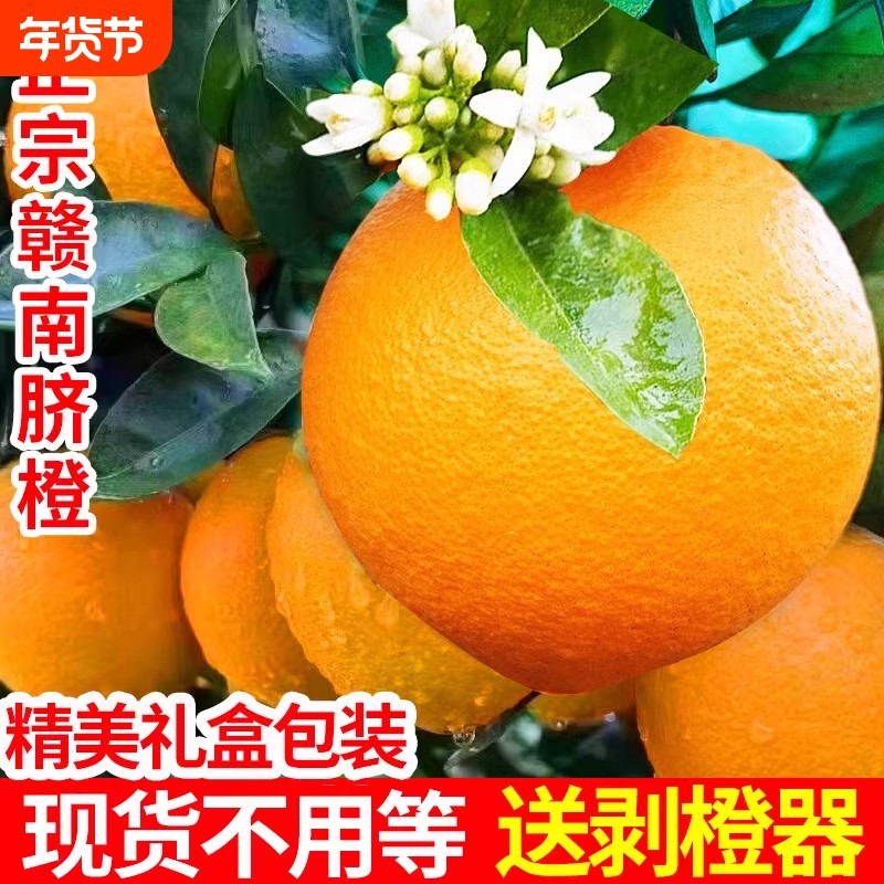 2025年新果正宗江西赣南脐橙当季新鲜手剥甜橙子孕妇水果赣州直发,水产肉类/新鲜蔬果/熟食,橙,淘宝优惠券,粉丝福利购,淘宝优惠卷