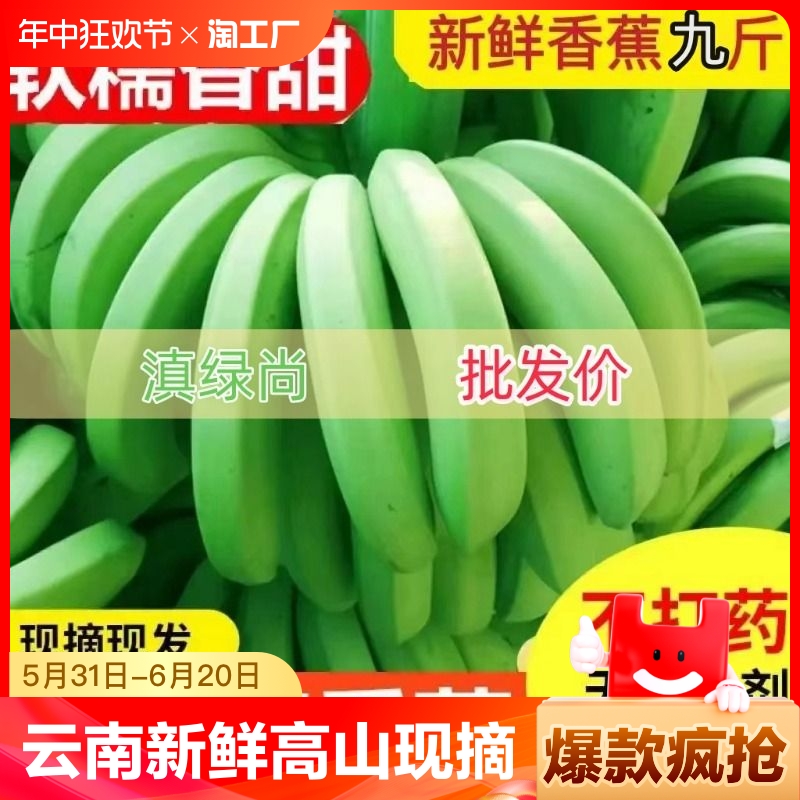 云南新鲜高山青香蕉现摘现发大香蕉水果自然熟banana芭蕉可食用 水产肉类/新鲜蔬果/熟食 香蕉 原图主图