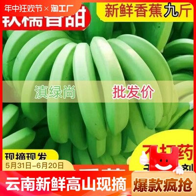 云南新鲜高山青香蕉现摘现发大香蕉水果自然熟banana芭蕉可食用