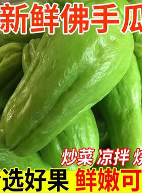 云南新鲜佛手瓜洋瓜丰收瓜寿瓜新鲜蔬菜应季农家蔬菜佛手瓜