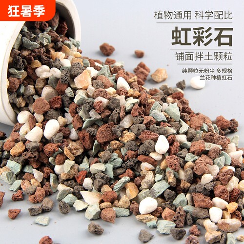 多肉颗粒土专用多肉种植颗粒植物营养土专用土壤麦饭石铺面石颗粒