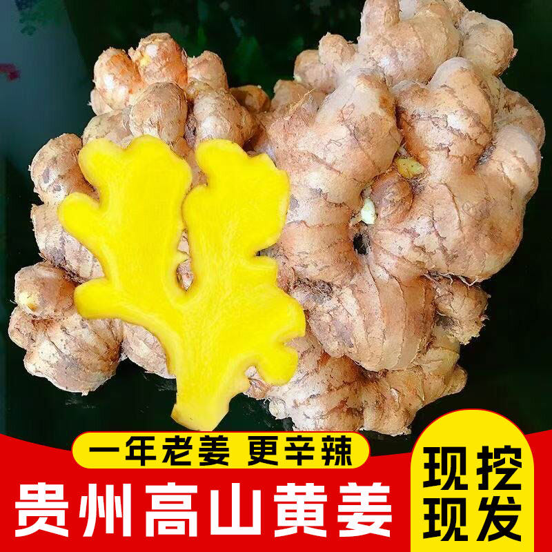有机肥种植小黄姜5斤云南高山老姜姜味浓郁月子驱寒泡脚足浴佳品
