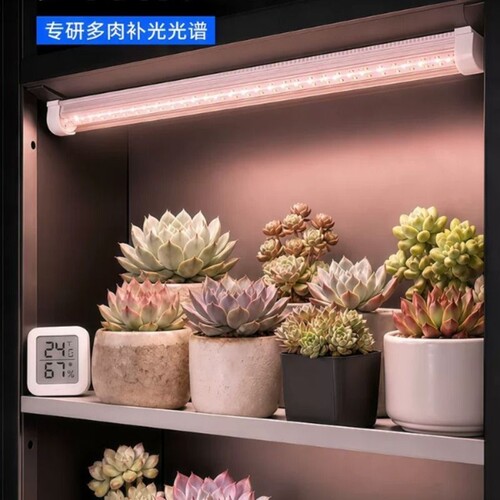 多肉专用植物补光灯全光谱仿太阳室内LED灯上色防徒长T8灯管防水