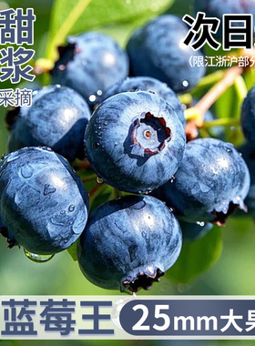云南蓝莓新鲜水果花香蓝莓鲜果现摘L25高山大果整箱包邮