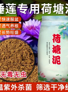 月下紫藤鲜荷塘泥碗专用泥土塘泥