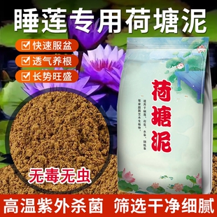 荷塘泥天然淤泥河塘泥碗莲睡莲荷花水生花卉专用营养泥营养土