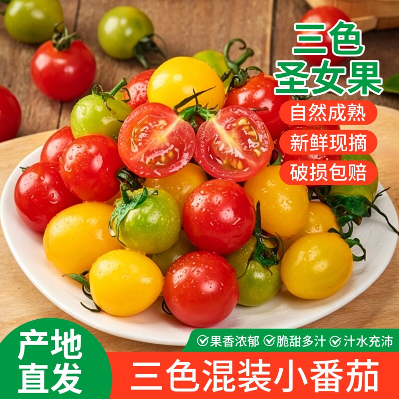 三色小番茄新鲜超甜圣女果现摘现发千禧果应季水果蔬菜小番茄整箱