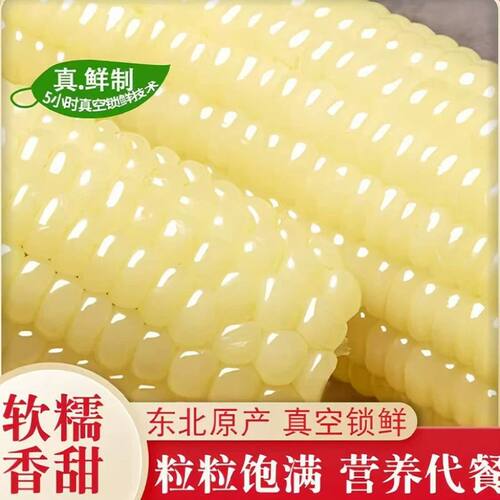 东北白糯玉米黑龙江粘玉米真空包装加热即食减脂甜玉米早餐真空装