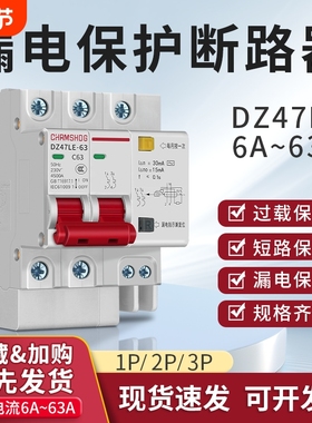 DZ47LE-63漏电保护器2p3p4p32a63a小型家用电闸总开关c45漏电开关