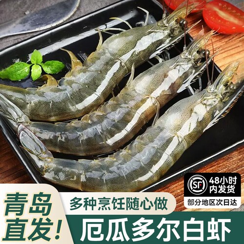 大虾鲜活速冻厄瓜多尔盐冻白虾冷冻特大号海虾青岛海鲜水产新鲜