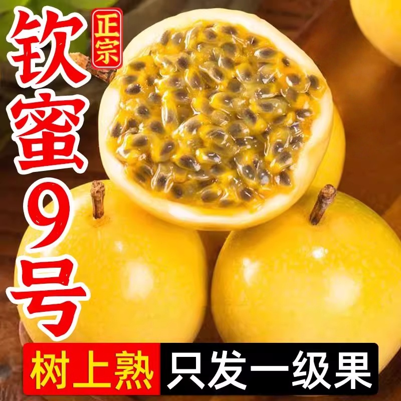 广西黄金百香果新鲜现摘