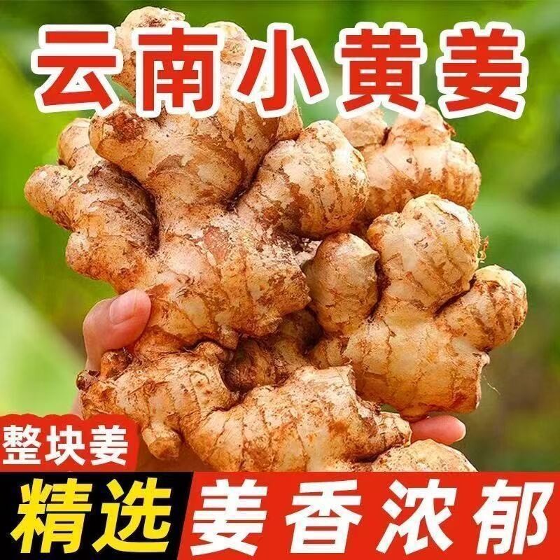 姜香浓郁云南小黄姜新鲜现挖生姜老姜嫩姜仔姜特级姜整箱新鲜姜