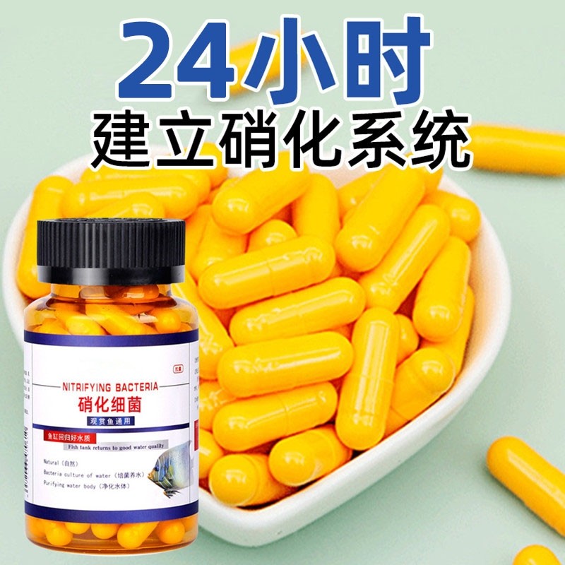 硝化细菌鱼缸专用净水剂胶囊水质净化养鱼培养菌消化养鱼分解鱼粪