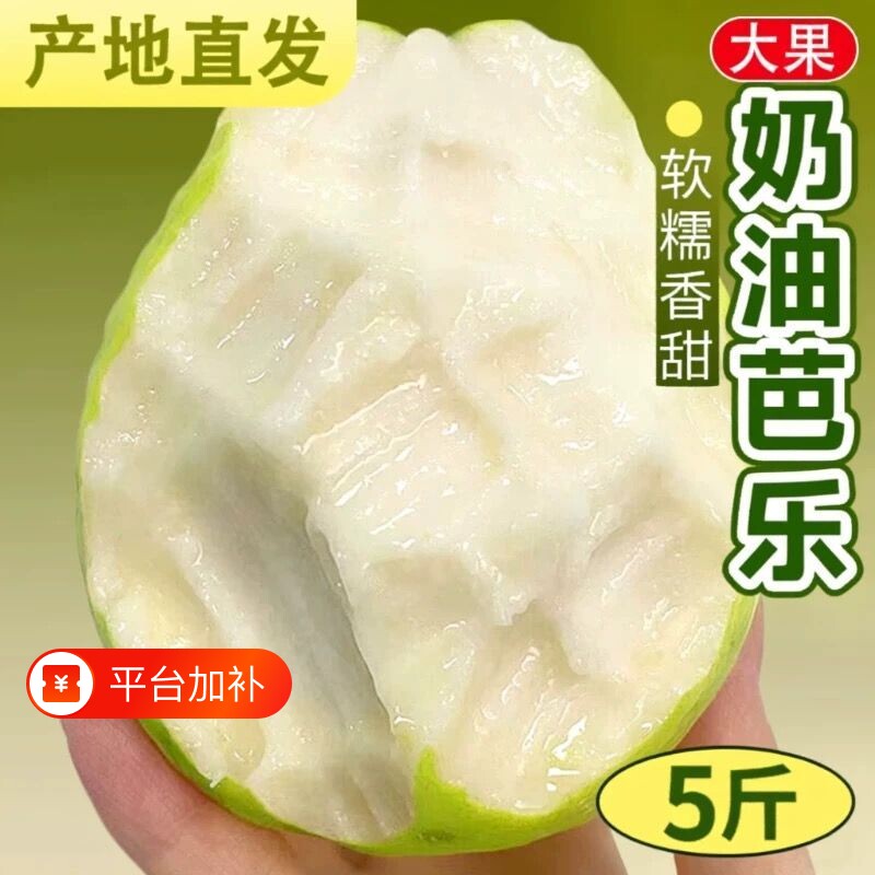 奶油芭乐红心白心软糯双拼新鲜番石榴大果脆甜鸡屎果当季水果正宗
