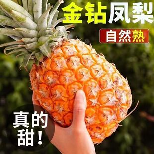 正宗海南金钻凤梨新鲜水果当季现摘香水大菠萝自然熟自提去皮
