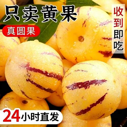 人参果新鲜水果云南石林黄心圆果树上熟七彩人叁果应当季整箱包邮