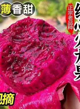 红心火龙果皮薄多汁口感爽口