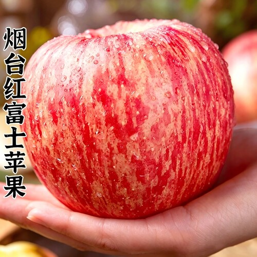 沂源红富士苹果山东正宗脆甜多汁中庄当季现摘5斤装新鲜种植水果
