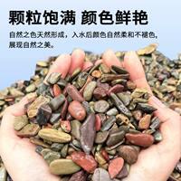 Stream stone fish tank landscaping special no-wash bottom sand and gravel, natural bottom sand, aquatic plants, South American tank sand decorative ornaments thumbnail 2