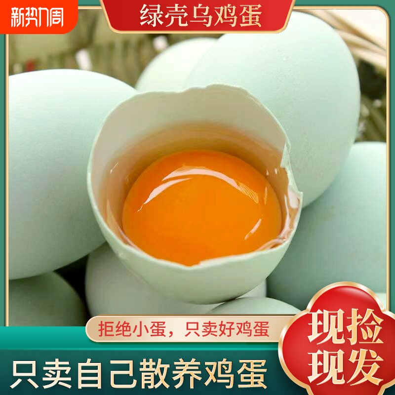 新鲜绿壳蛋乌鸡蛋农家散养新鲜柴鸡蛋草鸡蛋青皮蛋月子蛋