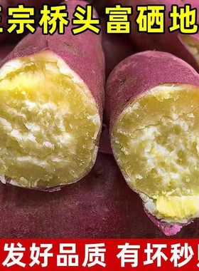 海南澄迈桥头富硒地瓜新鲜沙地红薯现挖净重9斤批发包邮板栗番薯