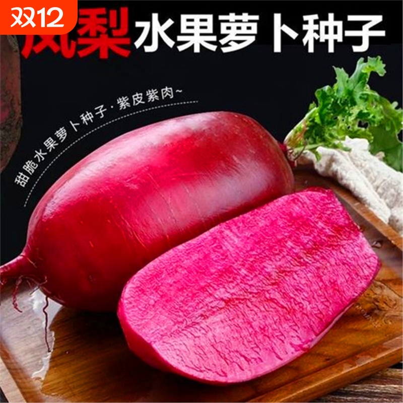 凤梨萝卜种子水果籽紫色红