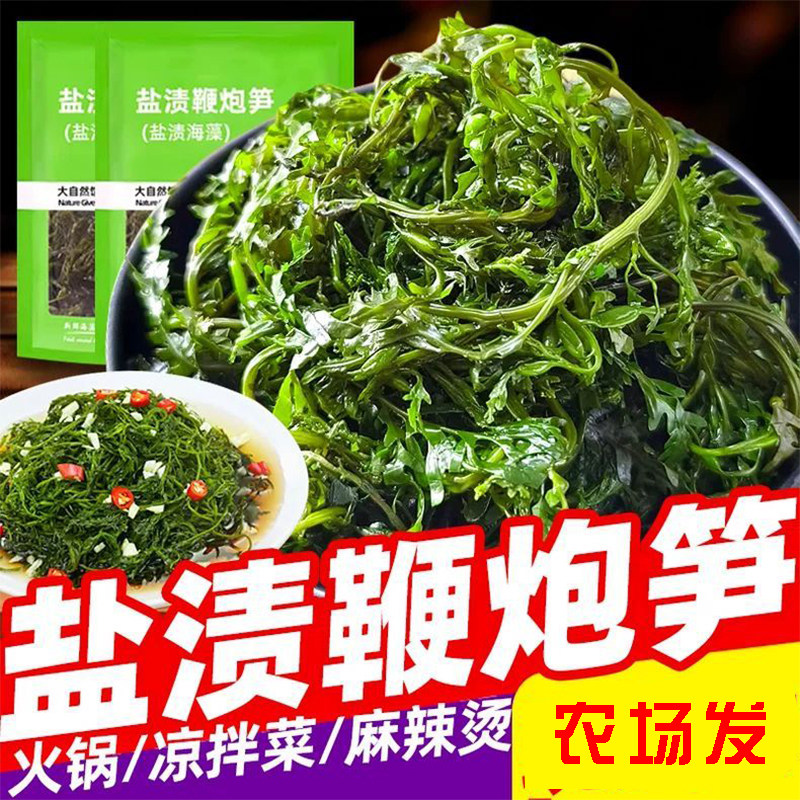 鞭炮笋海藻盐渍马尾藻羊栖菜即食海草长寿海带菜火锅配菜商用